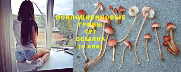 а пвп мука Алексеевка